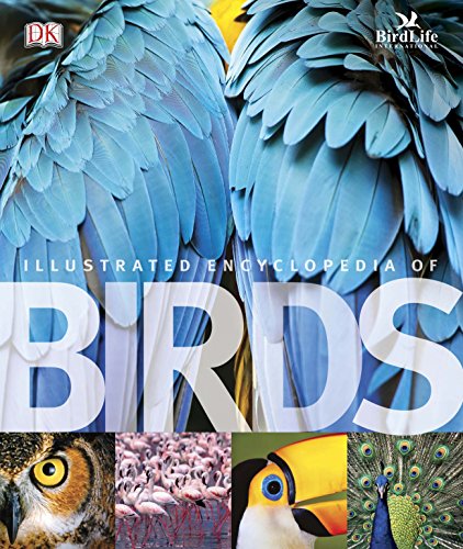 The Illustrated Encyclopedia Of Birds