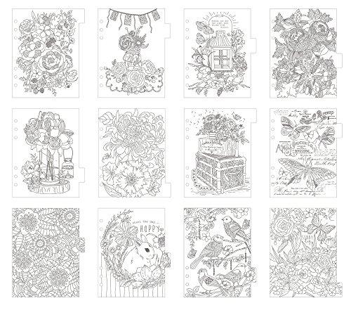 Prima Marketing 655350592196 My Prima Planner Embelishments Coloring Dividers - Beauty is Everywhere