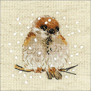 Sparrow
