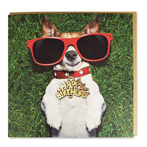 Jack Russell Red Sunglasses