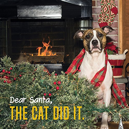 Dear Santa The Cat Did It