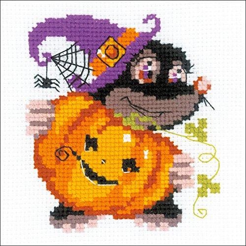 RHB173 Happy Halloween Counted Cross Stitch Kit-6"X6" 10 Count
