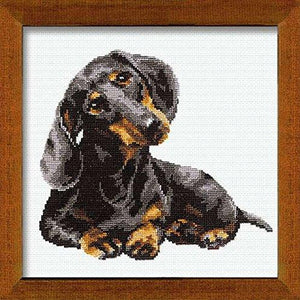 RIOLIS 16 Count Dachshund Counted Cross Stitch Kit, 9.75 by 9.75-Inch
