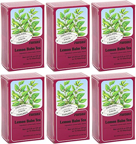 Floradix Lemon Balm Organic Herbal Tea 15 Bag (Pack of 6)