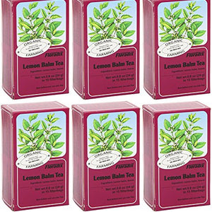 Floradix Lemon Balm Organic Herbal Tea 15 Bag (Pack of 6)